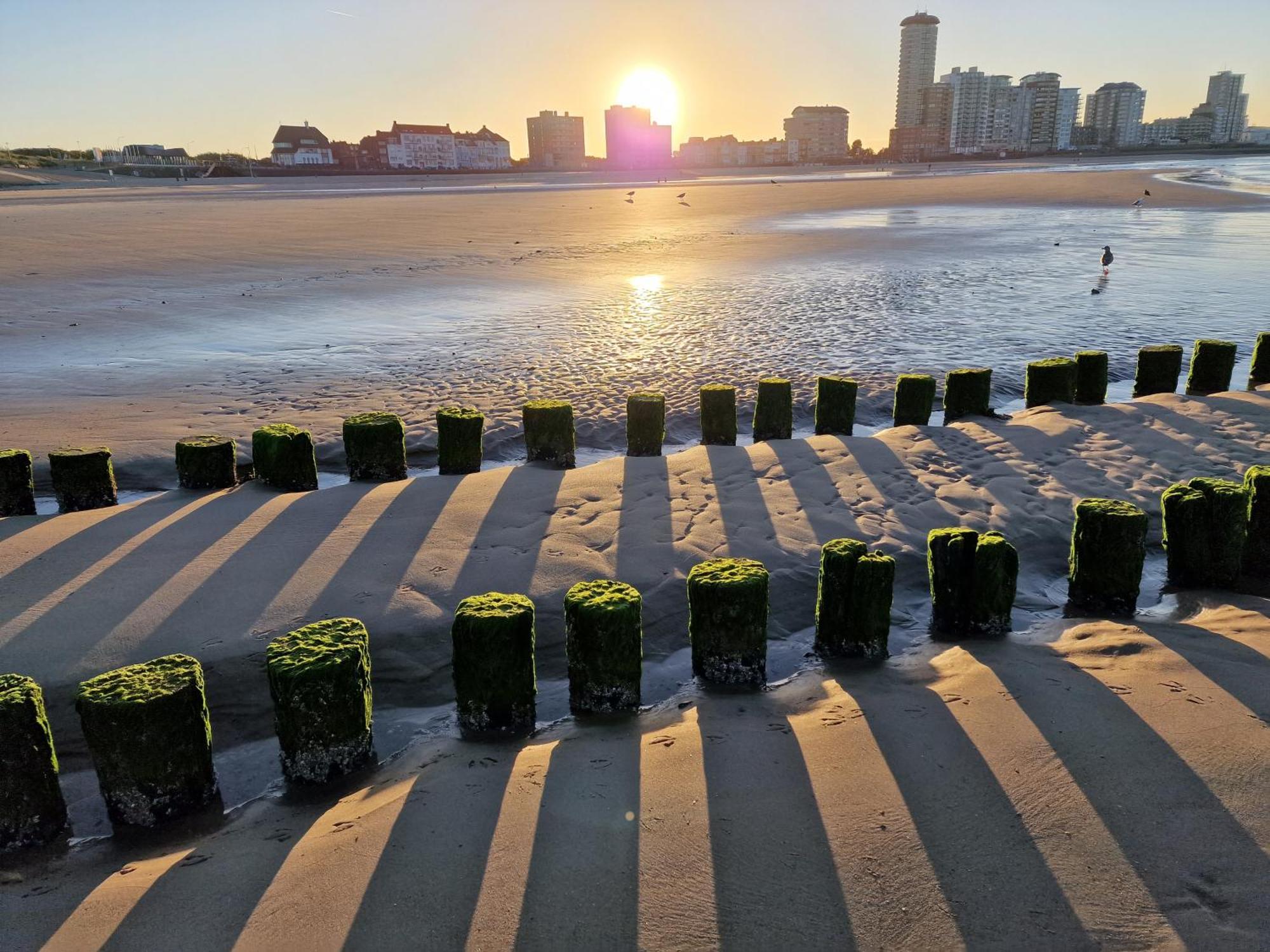 B&B Van Zon Aan Zee 弗利辛恩 外观 照片